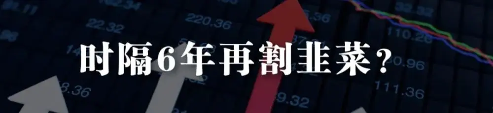 揭秘林丹掘金版图：控股11家公司，娱乐圈只是副业