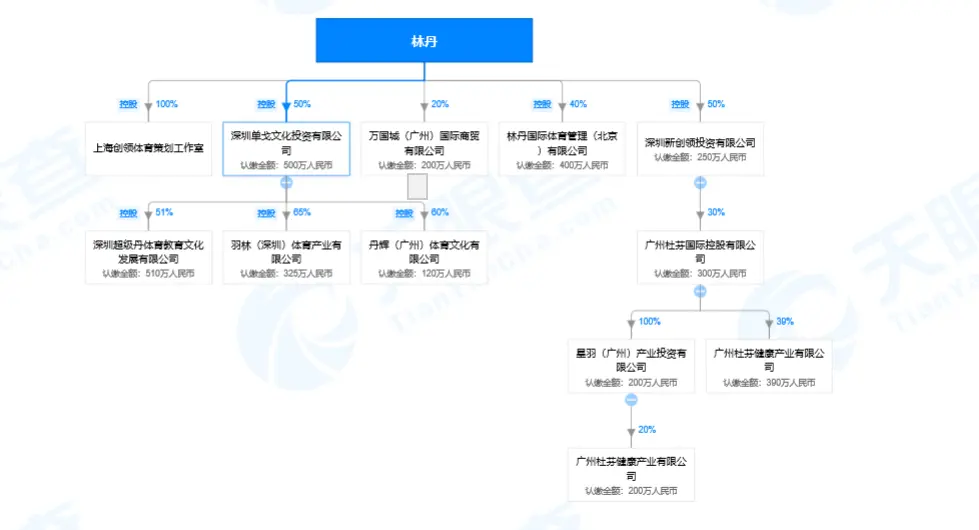 揭秘林丹掘金版图：控股11家公司，娱乐圈只是副业