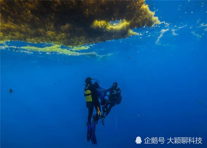 “透明度”最高的海，却被大家称为“海上坟墓”，这是什么情况？