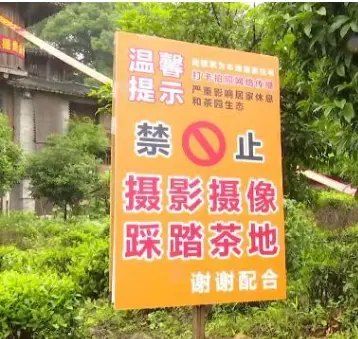 酷似“千与千寻”，西湖景区一民宅成网红打卡点！房主怒拉横幅