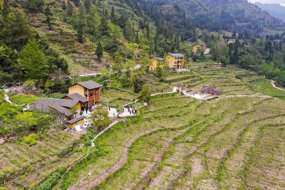 念好“山”字经 加快奔小康-重庆武陵山区城镇群生态脱贫记