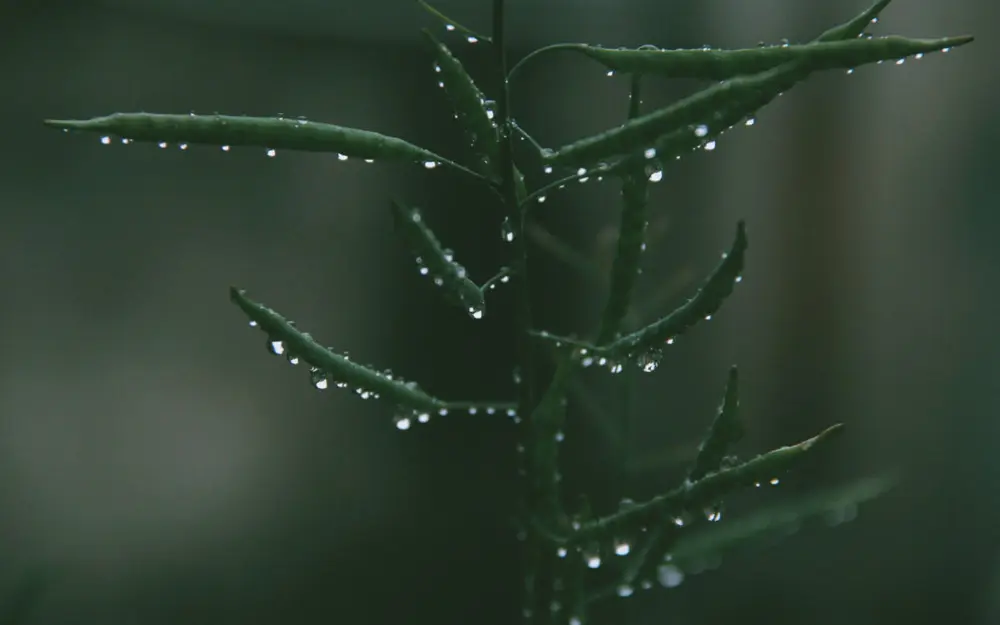 10月，追逐爱意，痴心想念，琴瑟和鸣，深情不弃，终得一人心