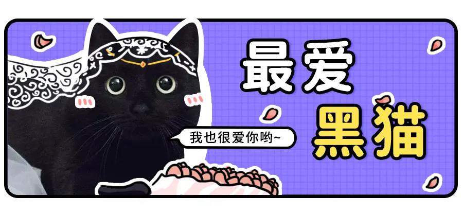 “我怀疑黑猫是外星生物，并且找到证据！”