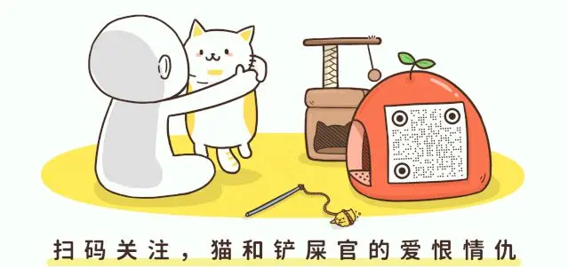 “我怀疑黑猫是外星生物，并且找到证据！”