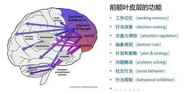 人类被高等文明圈养，等待灵魂收割，能量高的将植入到高等生物？