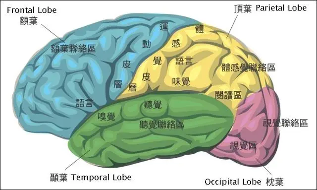 人类被高等文明圈养，等待灵魂收割，能量高的将植入到高等生物？