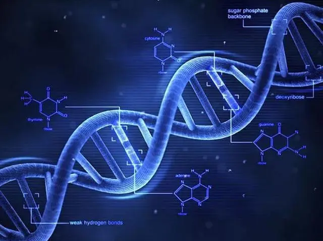 人类被高等文明圈养，等待灵魂收割，能量高的将植入到高等生物？