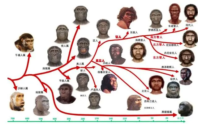 人类被高等文明圈养，等待灵魂收割，能量高的将植入到高等生物？