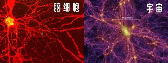 宇宙为什么和生命体如此相似？科学家的解释匪夷所思