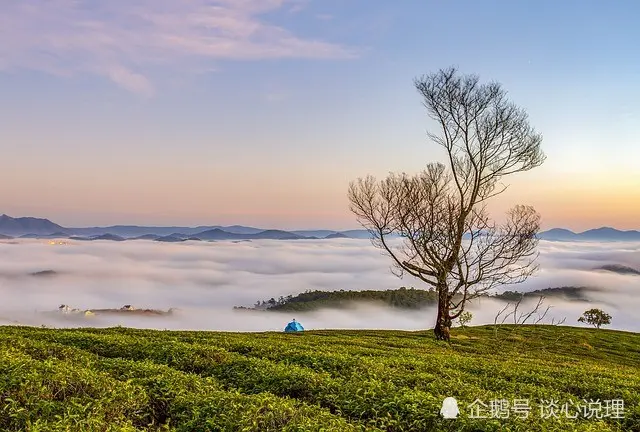 15天后，缘起前世，情陷今生，3星座心系旧爱，携手再续前缘