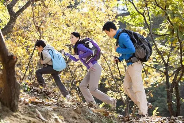 秋高气爽登山去，切莫忘记护好膝！秋季登山的正确打开方式