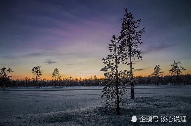 7月，倾心花一朵，愿执手白头，3星座邂逅真爱，余生相濡以沫