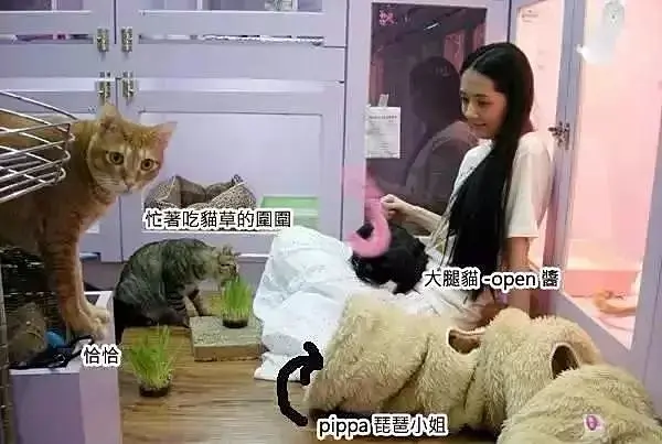 女子顶着烈日在收容所打扫，一只橘猫过去给了她一个拥抱：辛苦你了