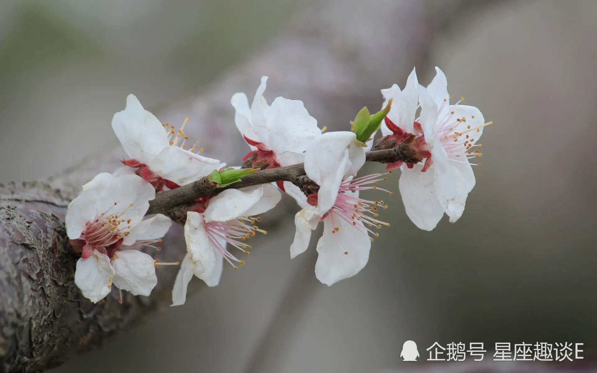9月28日-10月4日运势：巨蟹座打开心扉，天秤座拼尽全力