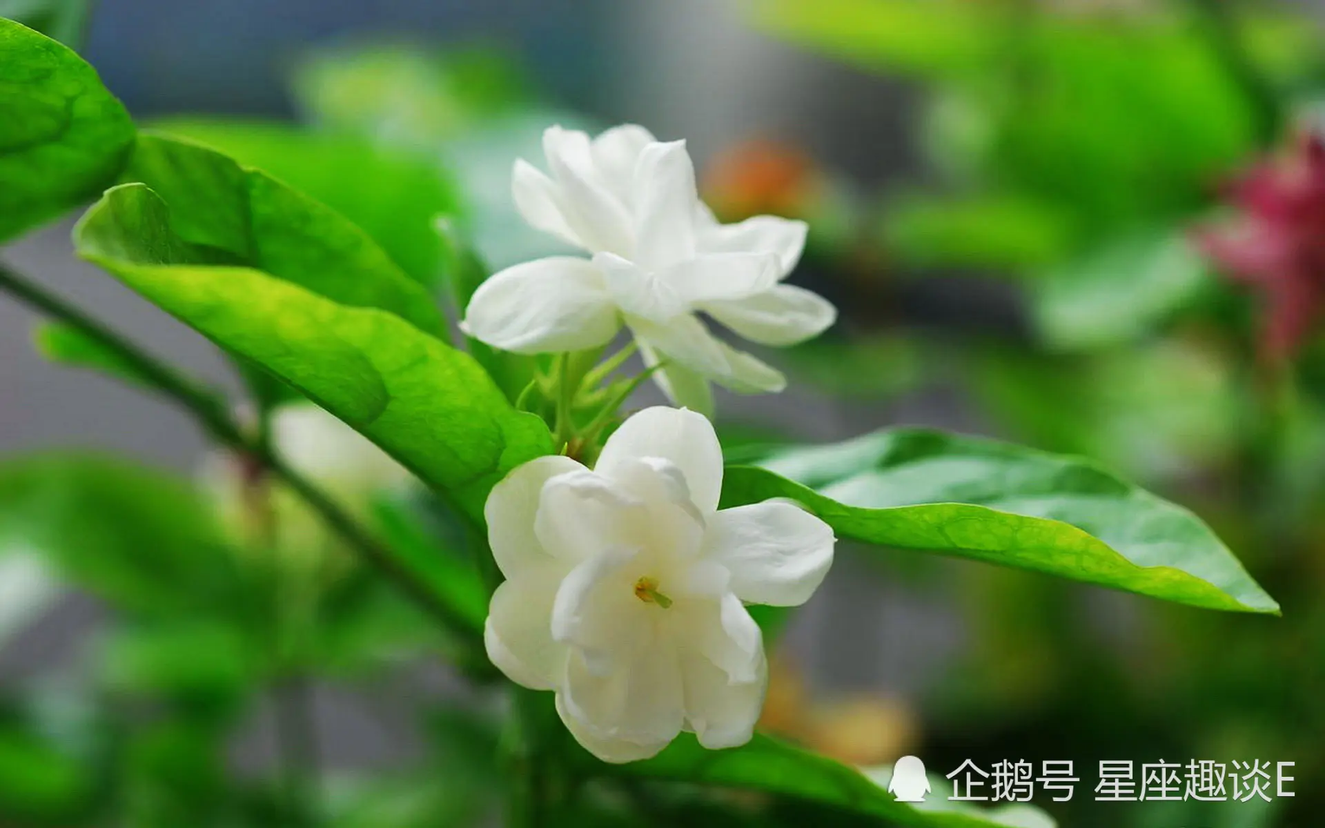 9月28日-10月4日运势：巨蟹座打开心扉，天秤座拼尽全力