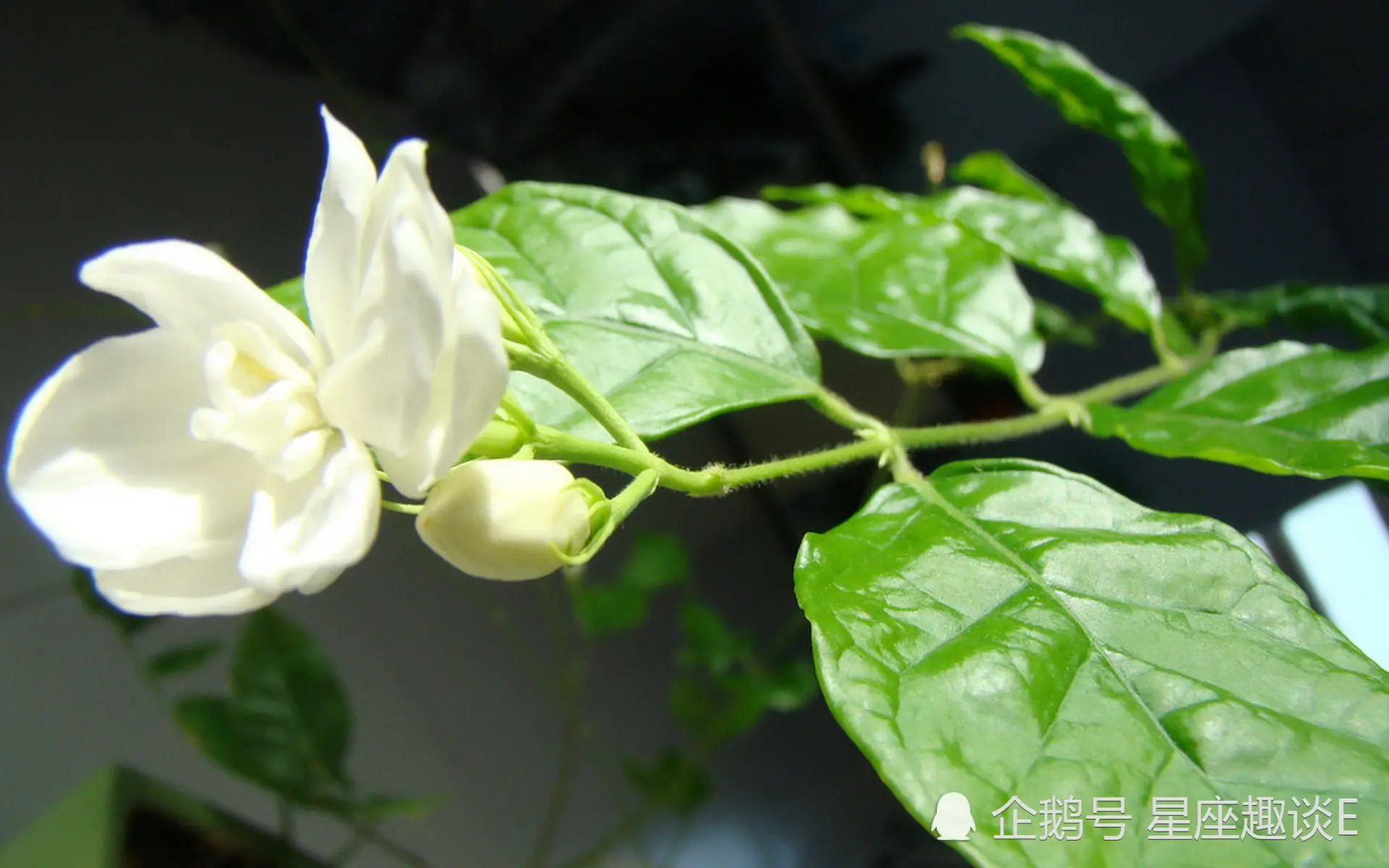 9月28日-10月4日运势：巨蟹座打开心扉，天秤座拼尽全力