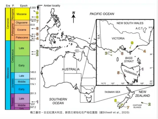 世界上最尴尬的事，莫过于交配时变琥珀，4100万年了还要被围观！