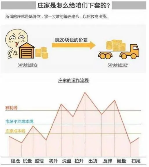 厦大一女教授终于发声：中国股市背后的庄家是谁？我整整读了10遍