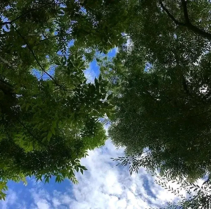 八字文案||但行好事，莫问前程。