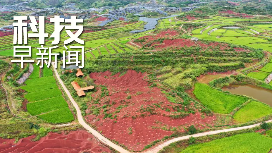 埃及出土59具2500年前的木棺；海水中检出新冠病毒痕迹