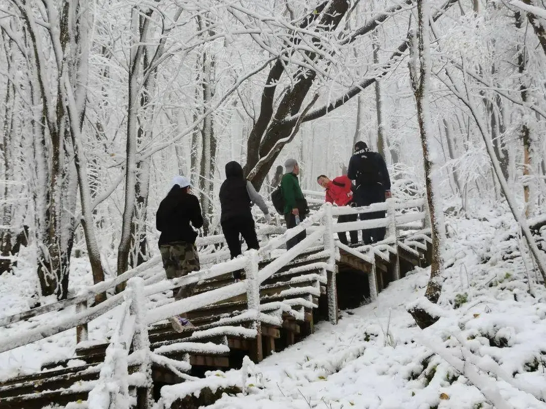 雪҈雪҈雪҈……第一场雪来啦！