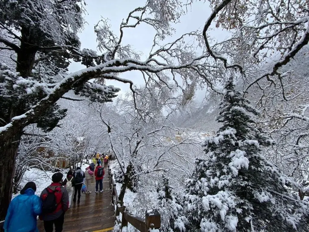 雪҈雪҈雪҈……第一场雪来啦！