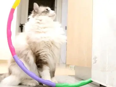 是不是你現在很想要把這個圈圈藏起來的啊，也是不知道你這是怎麼想的！