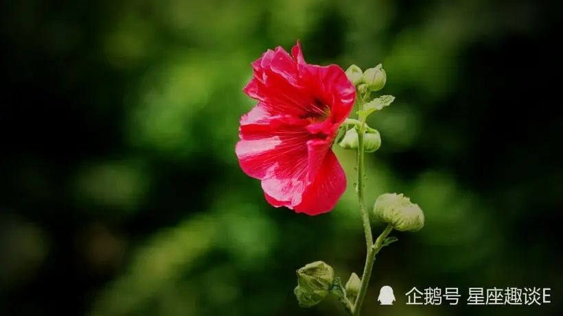 摩羯座的爱，需要用时间去证明！