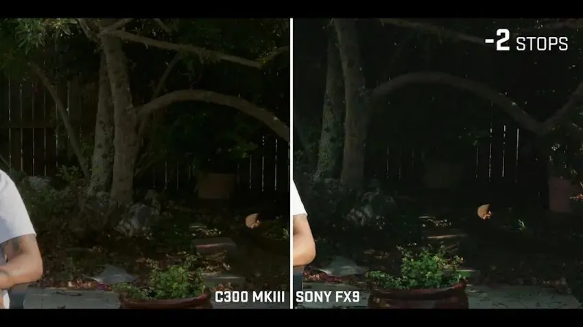 C300 Mark III与FX9的宽容度对比如何？