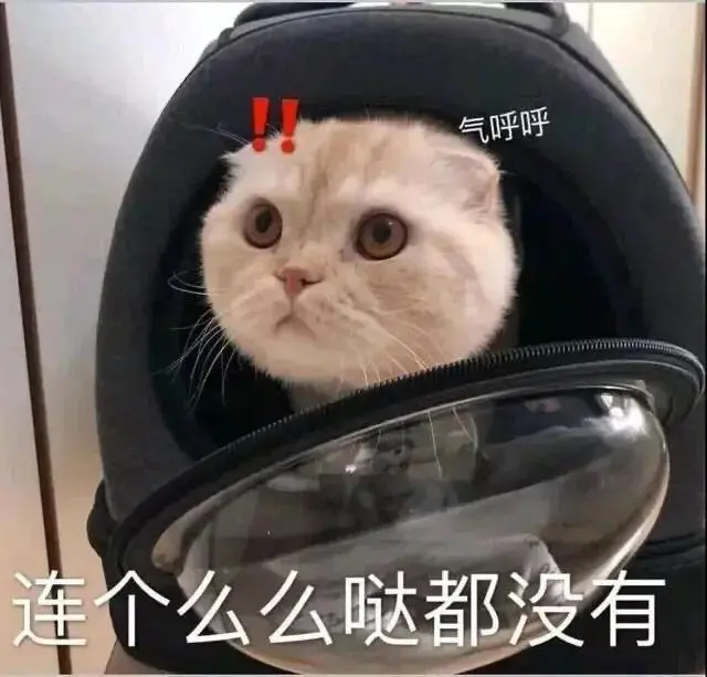 高糊可爱猫咪小表情包