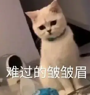 高糊可爱猫咪小表情包