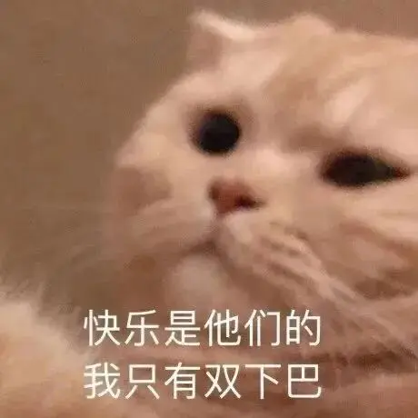 高糊可爱猫咪小表情包