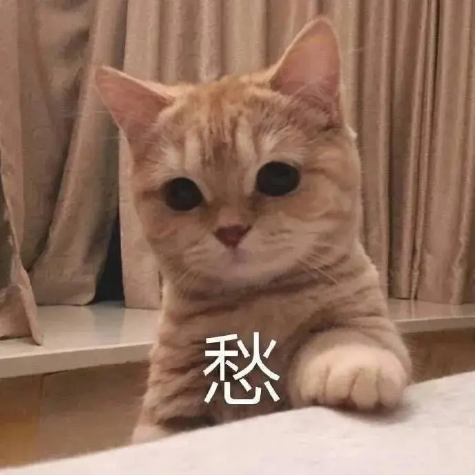 高糊可爱猫咪小表情包