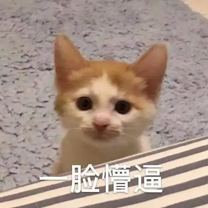 高糊可爱猫咪小表情包