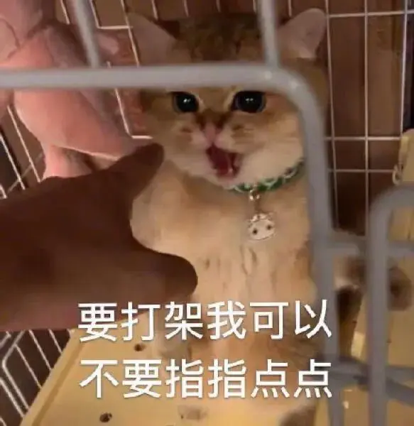 高糊可爱猫咪小表情包