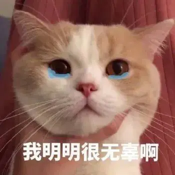 高糊可爱猫咪小表情包