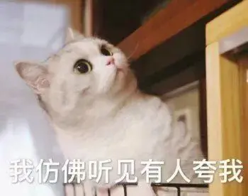 高糊可爱猫咪小表情包