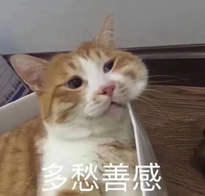 高糊可爱猫咪小表情包