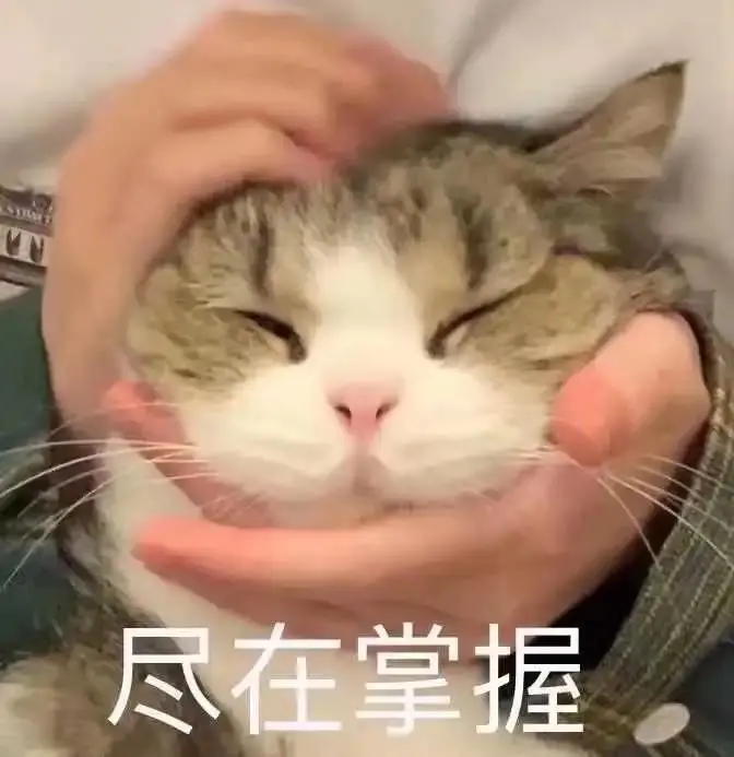 高糊可爱猫咪小表情包