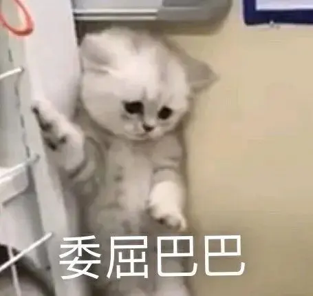 高糊可爱猫咪小表情包