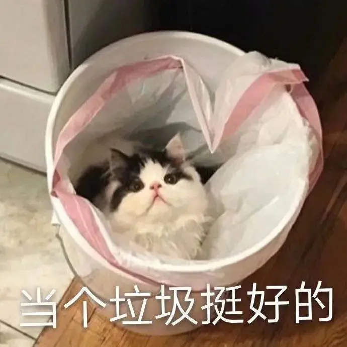 高糊可爱猫咪小表情包