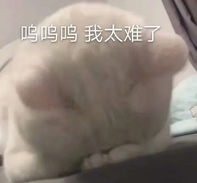 高糊可爱猫咪小表情包