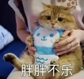 高糊可爱猫咪小表情包