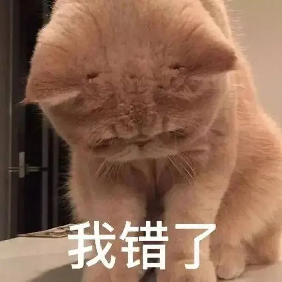 高糊可爱猫咪小表情包