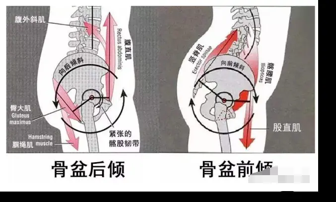 黄圣依站姿太社会了吧！配上这个不屑嘲讽脸，伊能静在她面前也要忌惮三分！