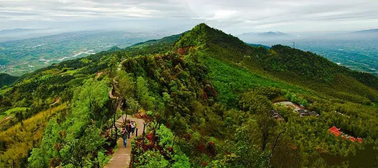 秋燥来袭，你需要脆甜多汁的永川黄瓜山梨为你解燥！