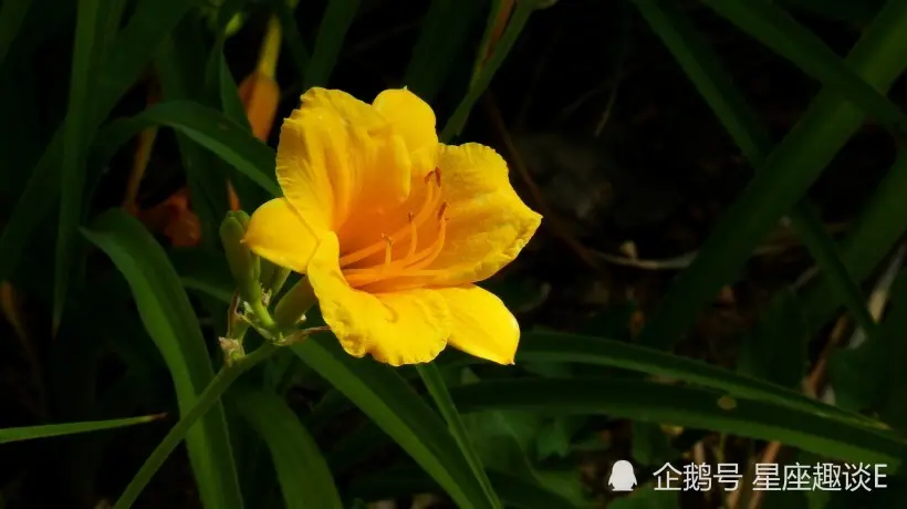 雙子座不想繼續喜歡你了！