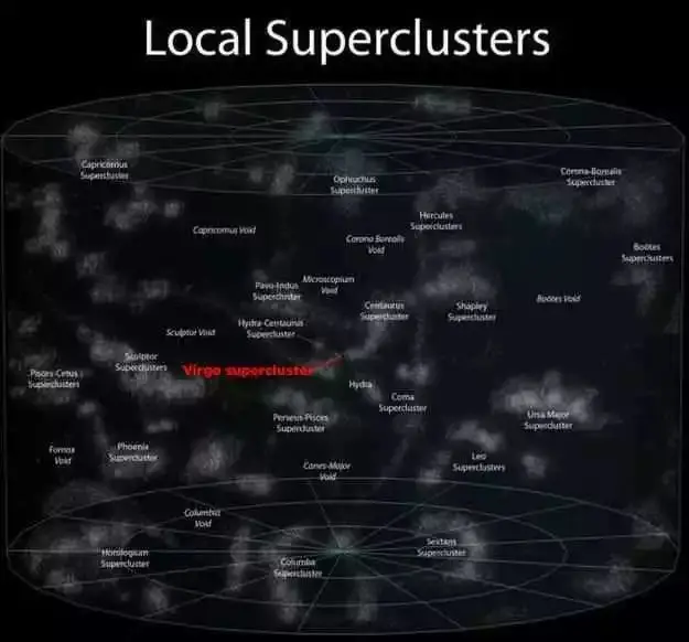 人类是唯一的智慧生物，你信吗？