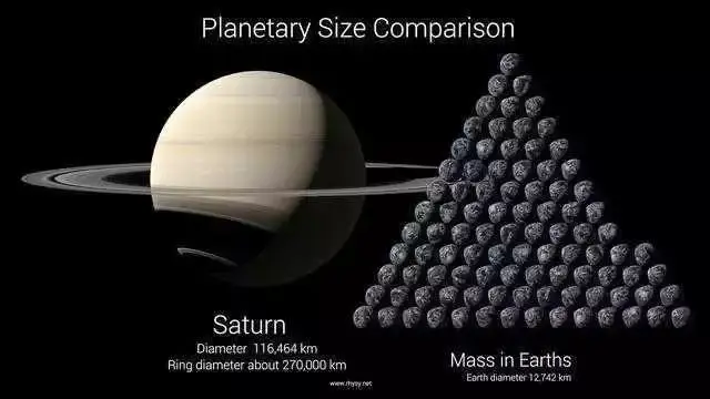 人类是唯一的智慧生物，你信吗？