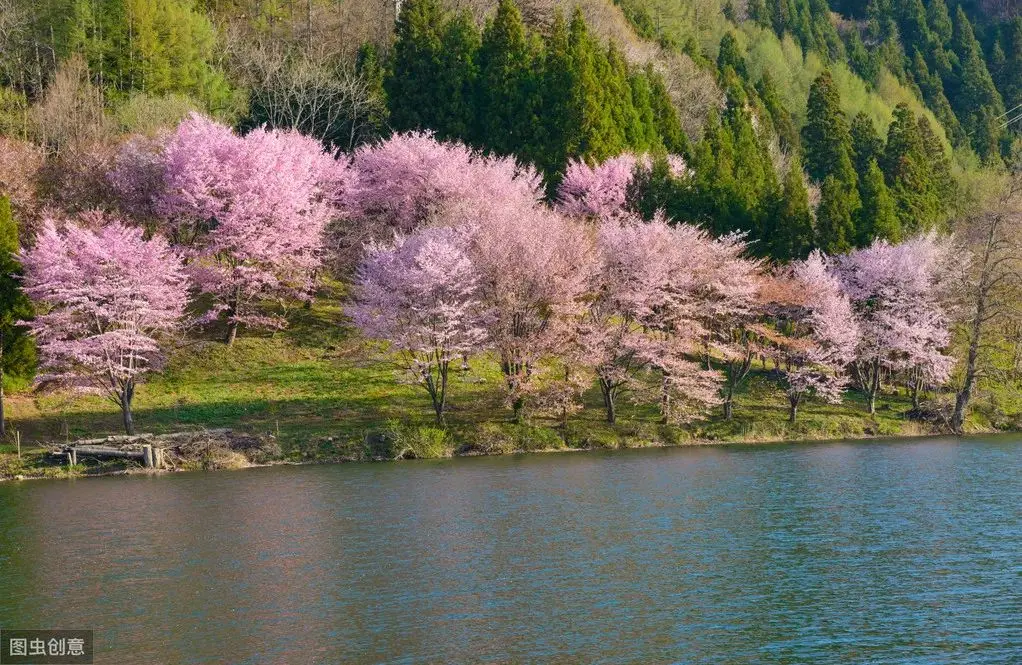 心理测试：你最喜欢哪出美景，测出你的哪种运气会越来越好